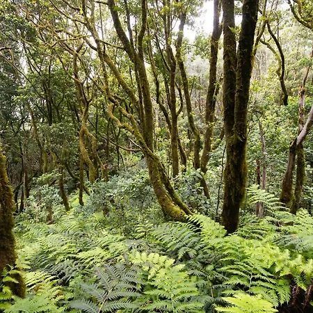 Casa En Anaga Senderismo Naturaleza & Desconexion *
